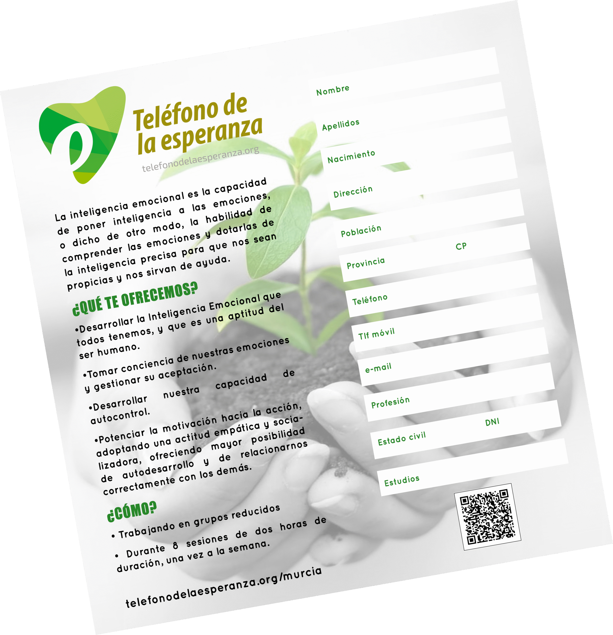 Diseño gráfico